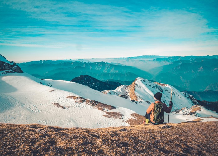 1767430381-pexels-sanket-barik-2808574-7846567 (1).jpg